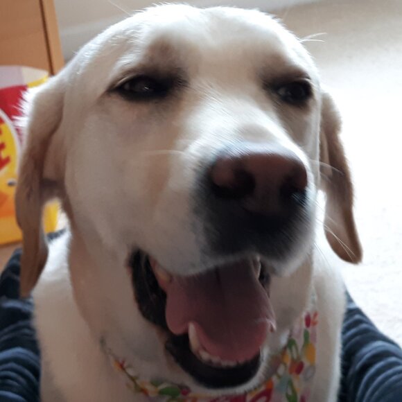 Meet your Posher, Francine - Picture 4 of 4